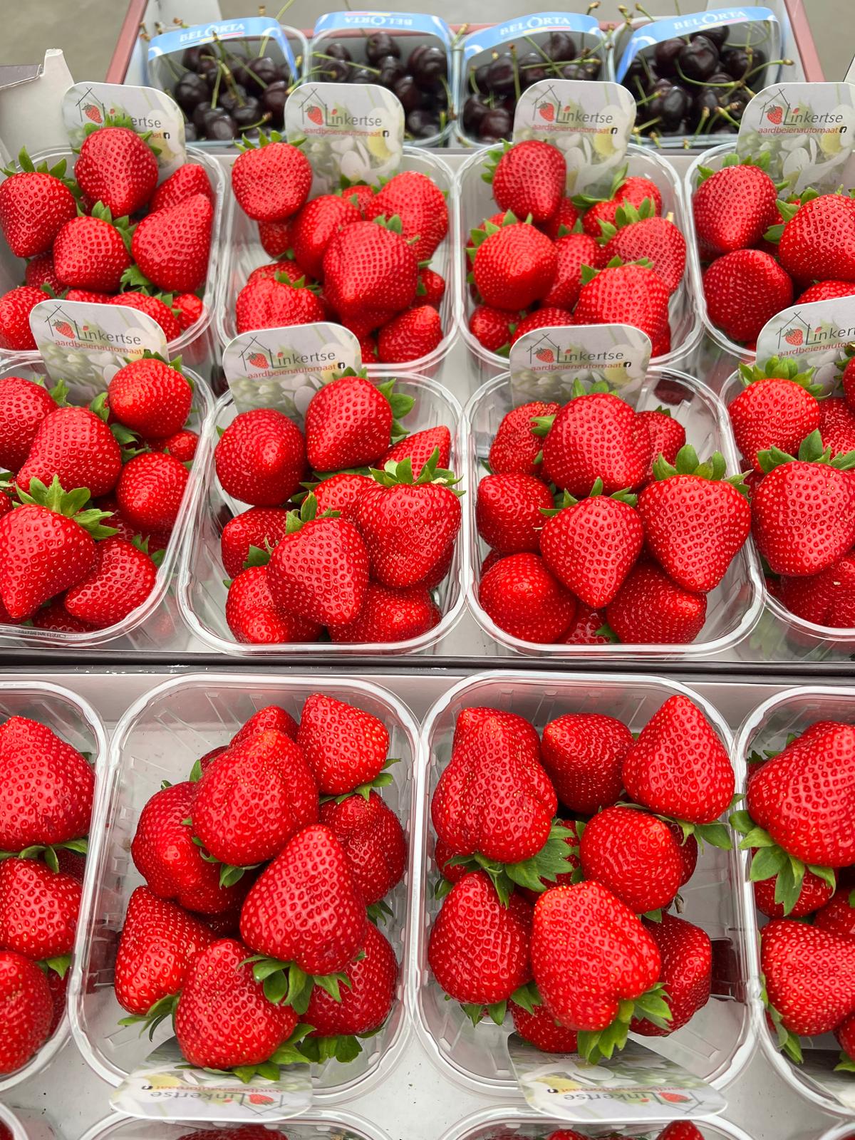 Linkertse Aardbeien 13
